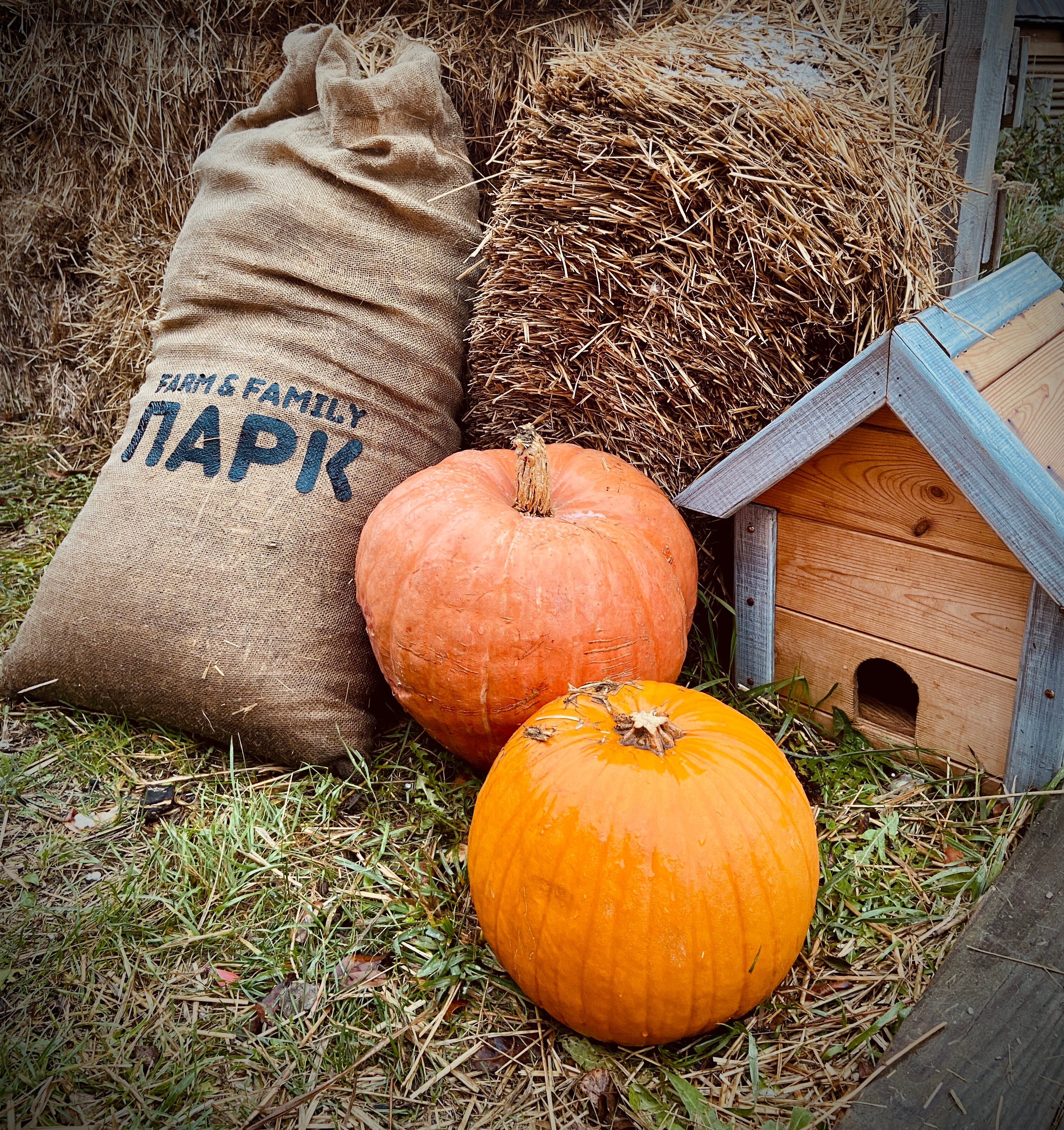 Фото Farm&Village