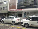 Hd Istanbul Dialysis Center (Istanbul, Gaziosmanpasa, Hurriyet Neighborhood, 256th Street, 15A), dialysis center