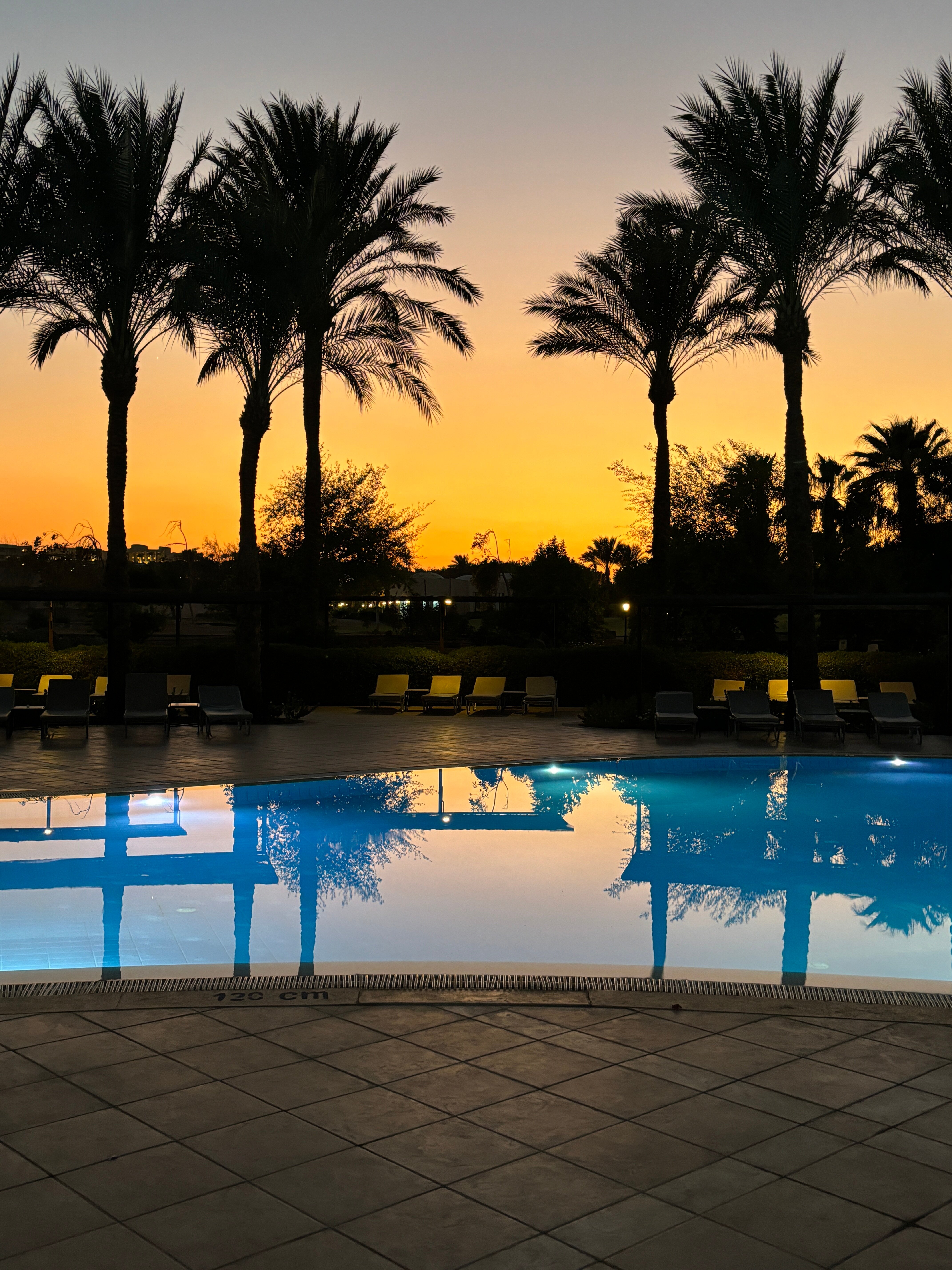 Фото Джаз Макади Сарайя Палмс