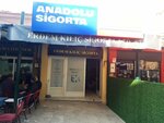 Anadolu Sigorta Ersin Kılıç Sigorta (Izmir, Gaziemir District, Abdullah Arda Square, 19), insurance broker