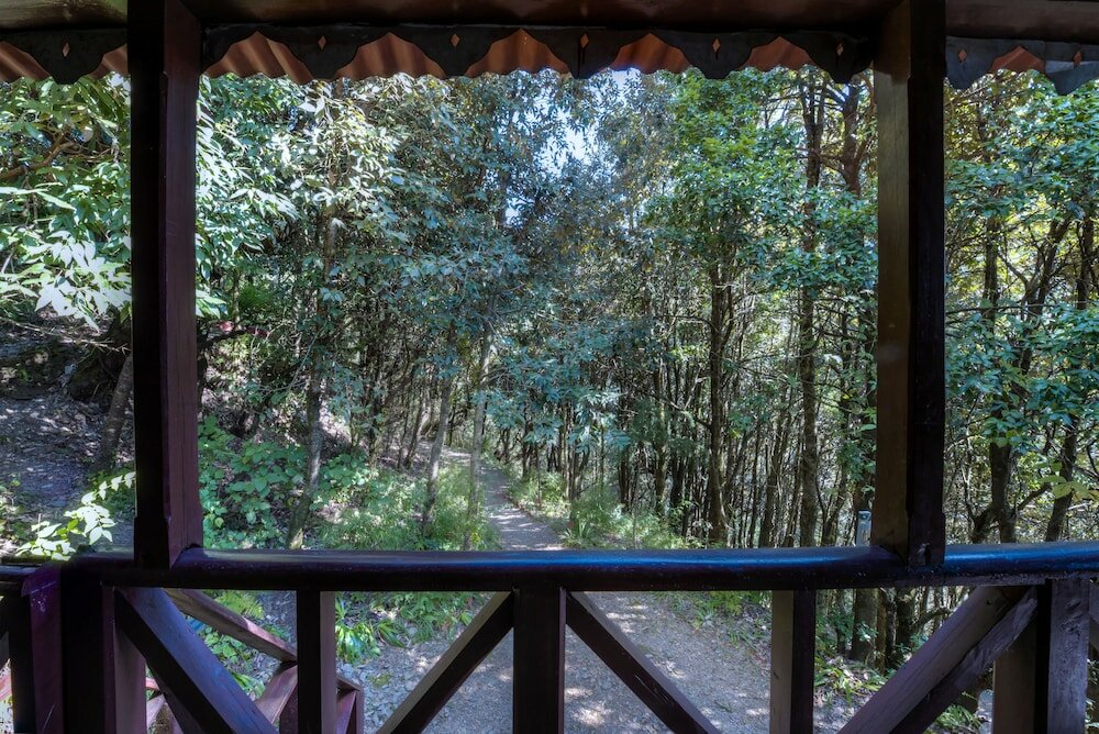 Фото Jungle Lore Birding Lodge