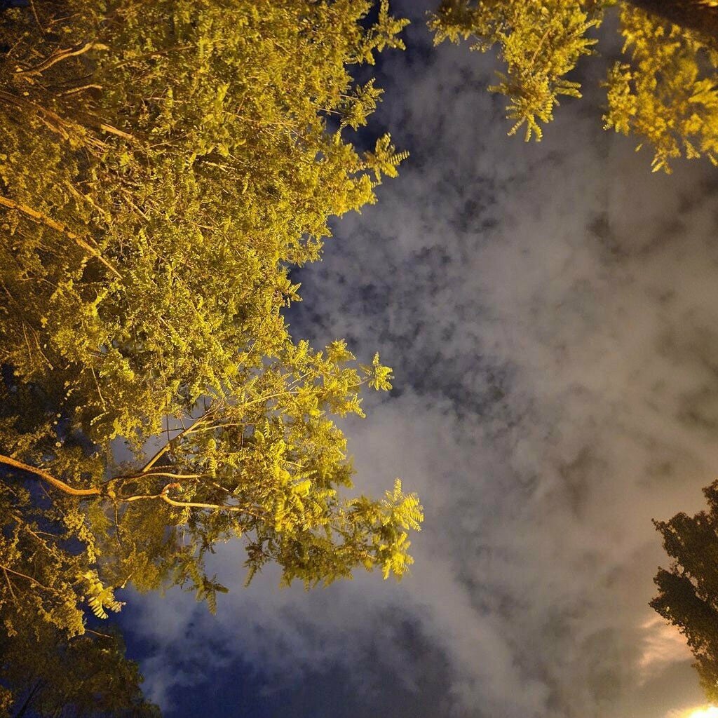 Park Kozagac Rest Park, Izmir, photo