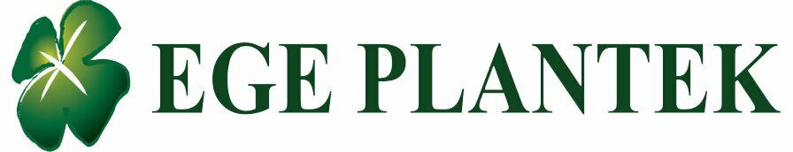 Agricultural goods Ege Fide, Torbali, photo