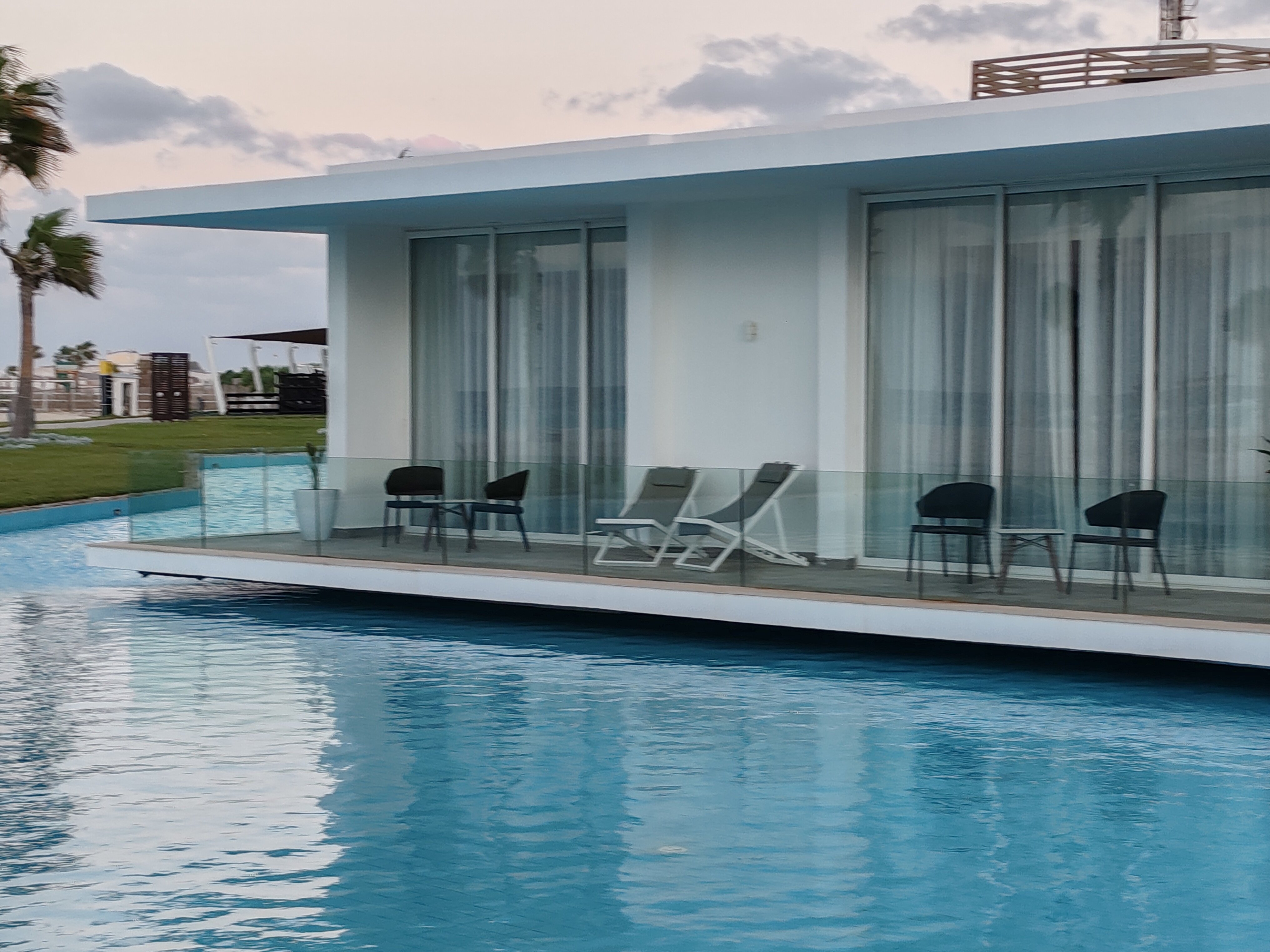 Фото The G Seashell