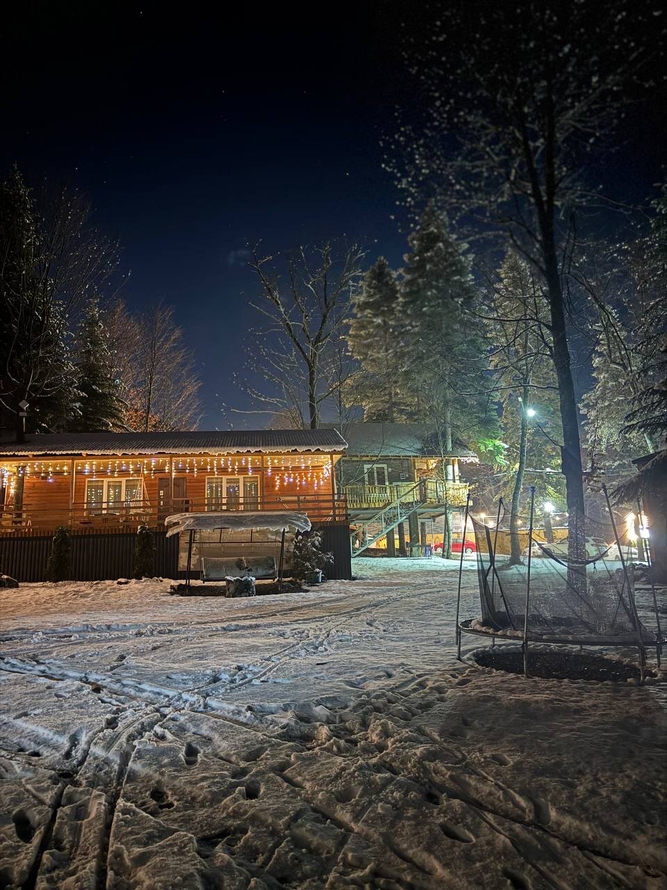 Фото Аргали