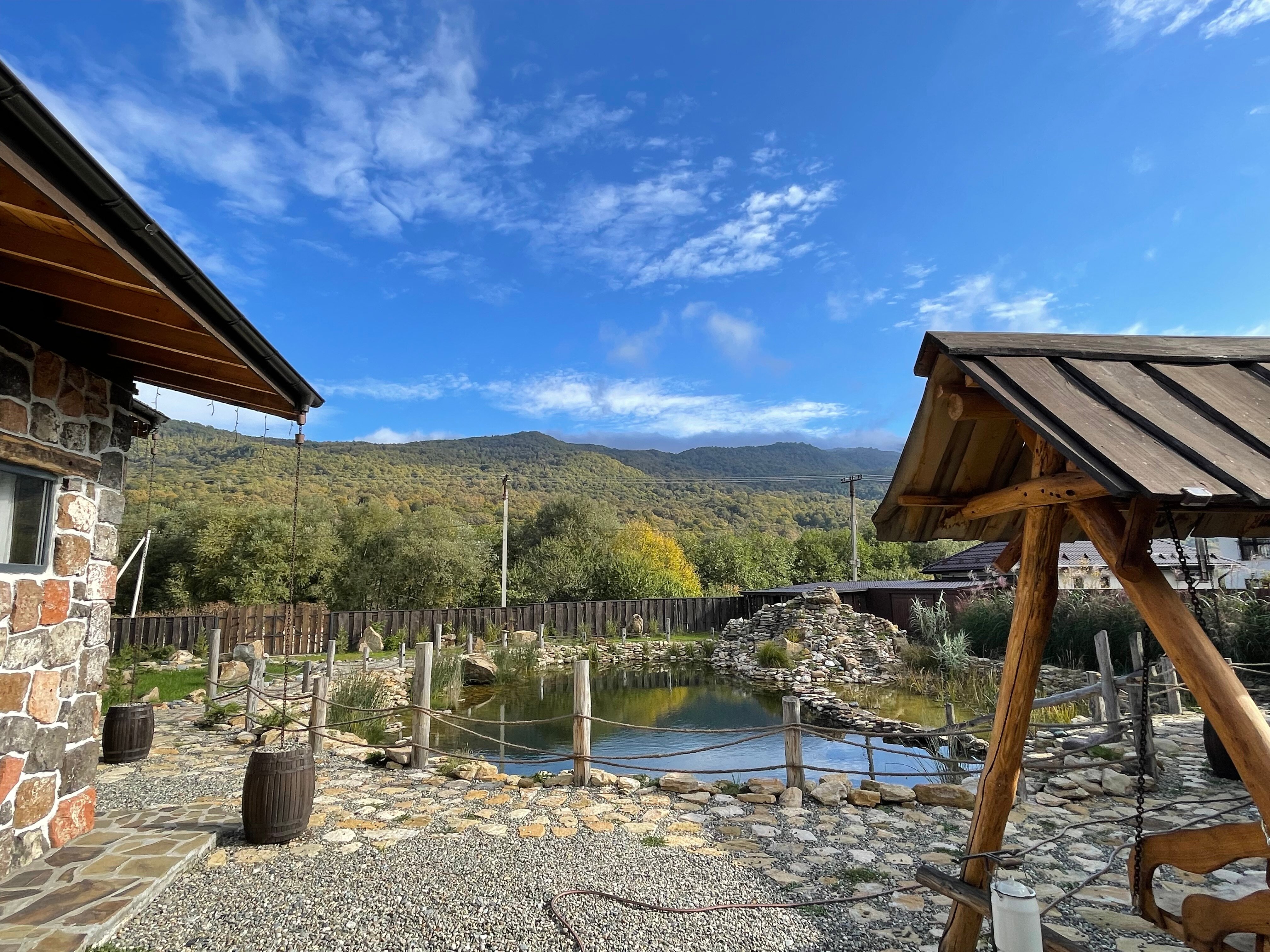 Фото ХамышШале