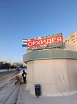 Orkhideya (Internatsionalnaya ulitsa, 47Б), floristeria