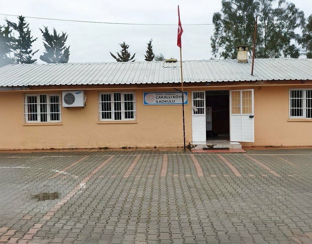 Primary school Cakalli Primary School, Karaisali, photo