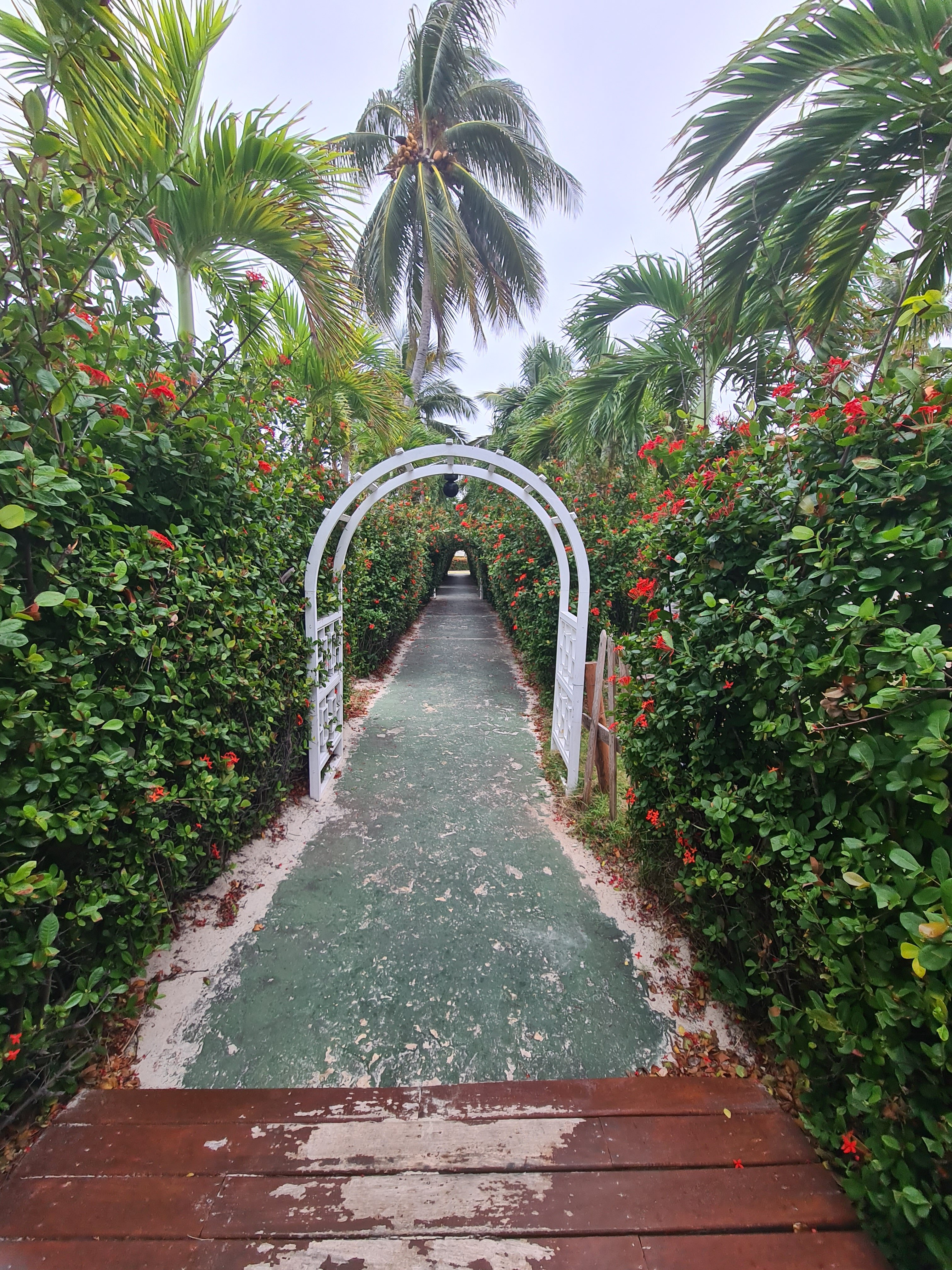 Фото Barcelo Solymar