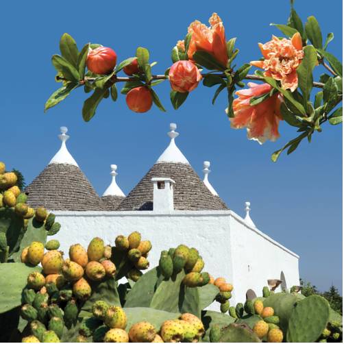 Фото Don Ferrante - Dimore di Charme