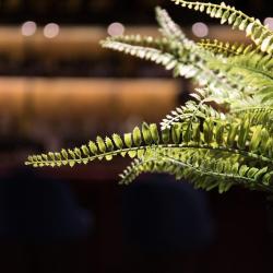 Фото Парк отель