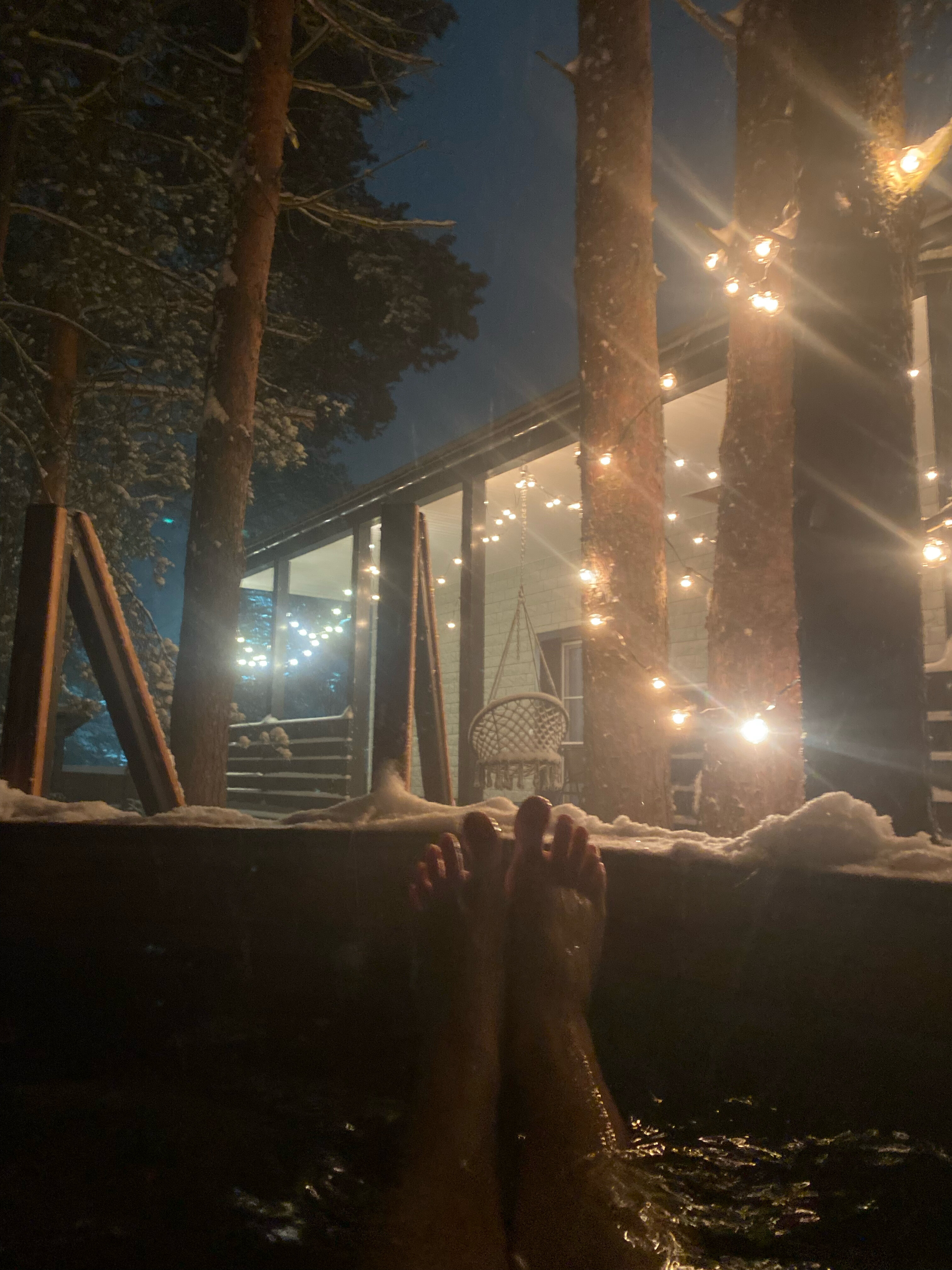 Фото Хвойная Гармония