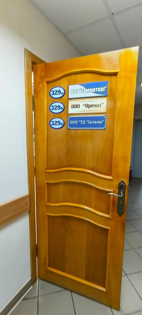 Construction company Гамматорг, Kaliningrad, photo