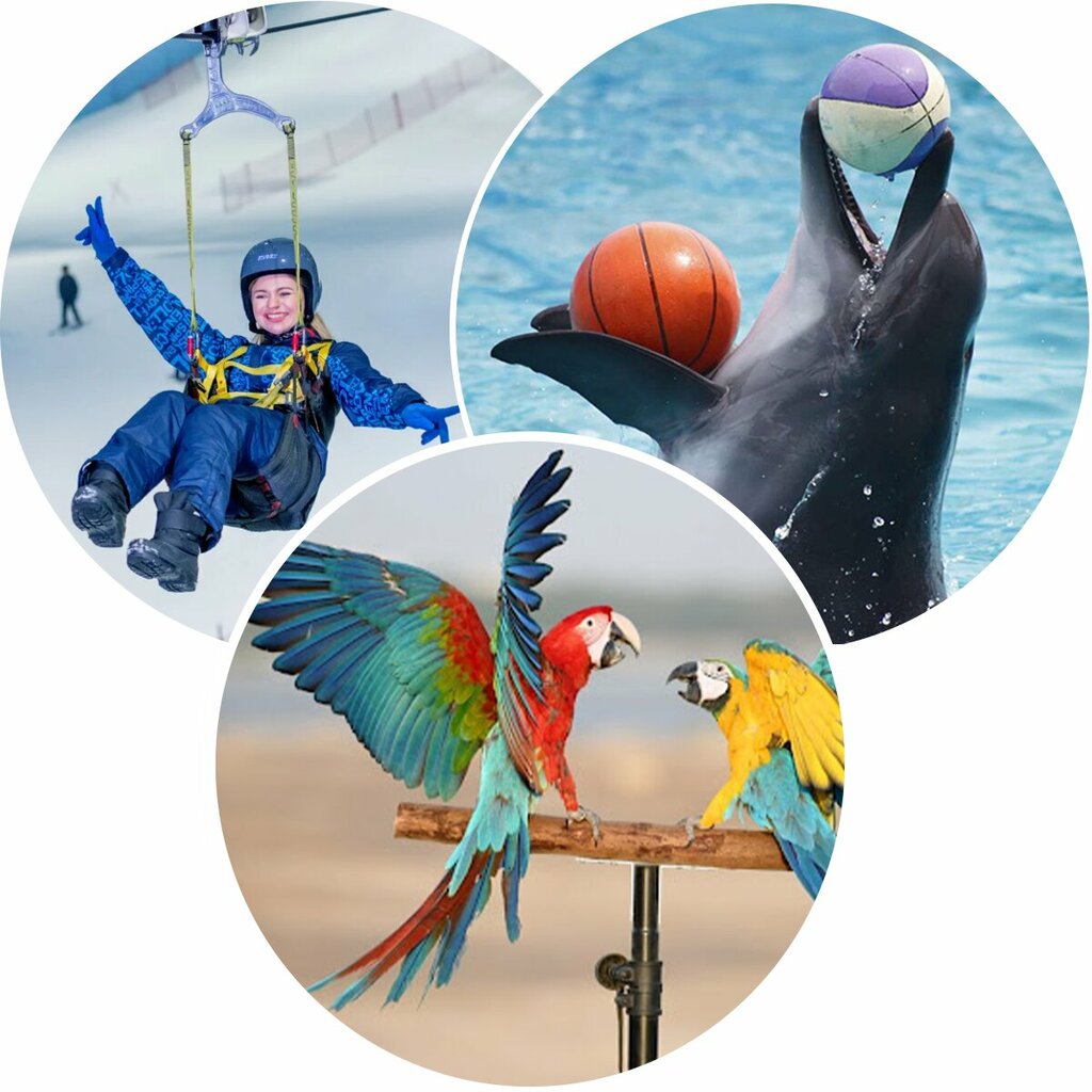 Travel agency Got Your Trip, Dubai, photo