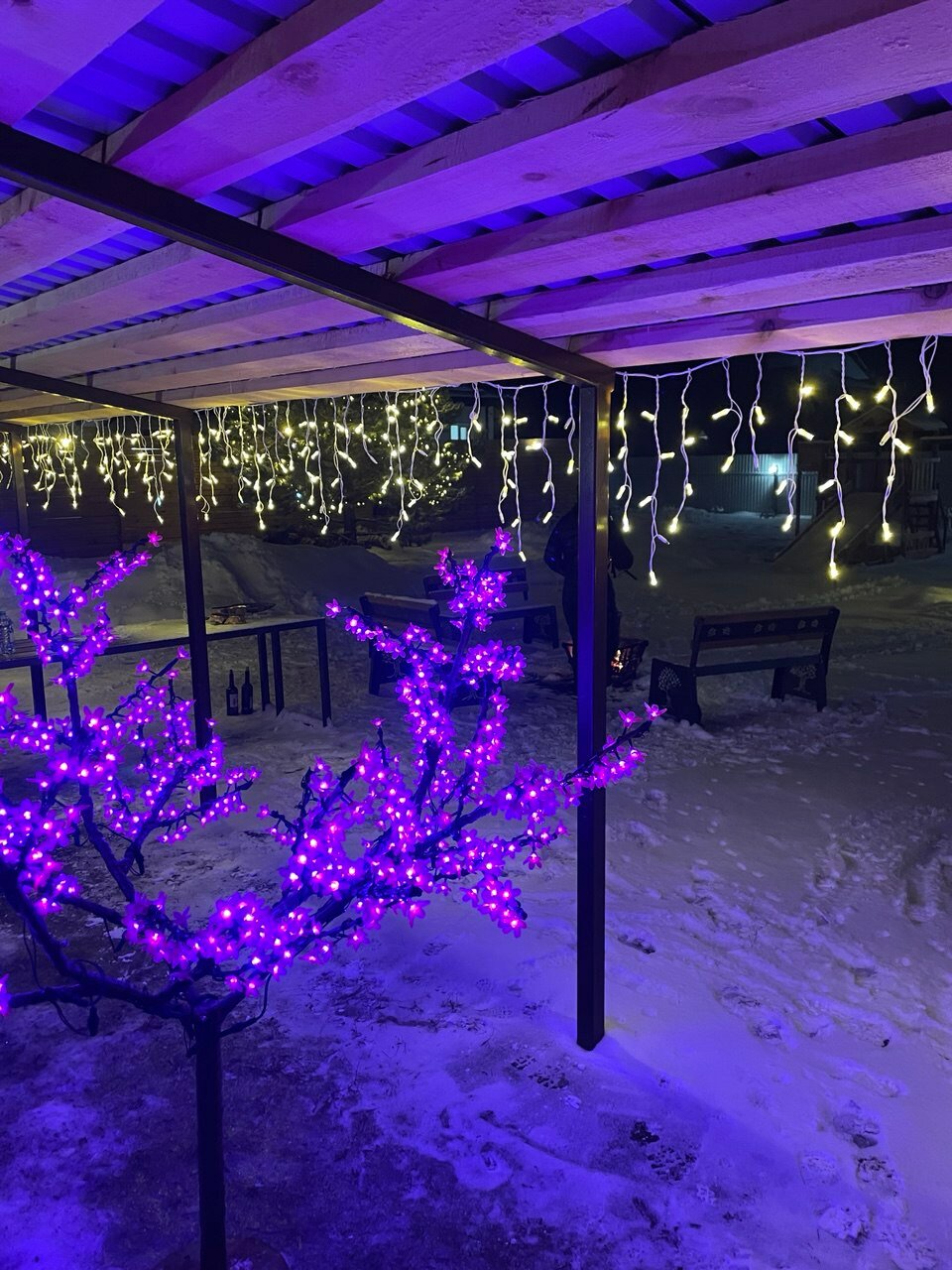 Фото Совушка