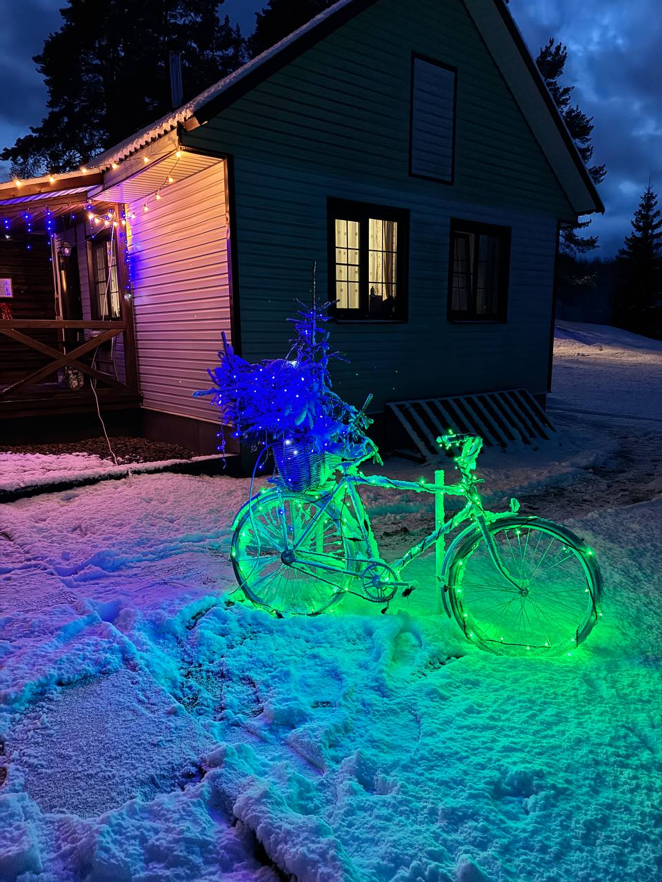 Фото Сосновая роща