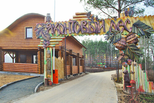 Иное жильё Яхонтовый Лес в Ногинске