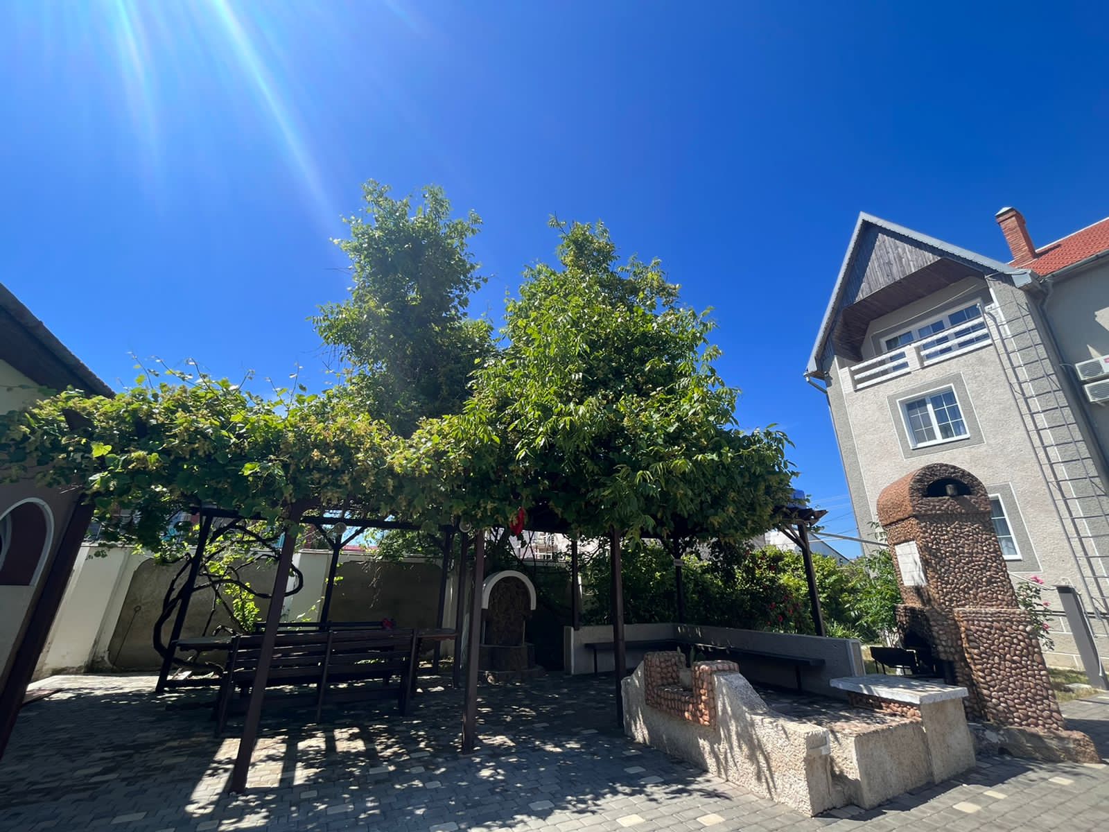 Фото Купава