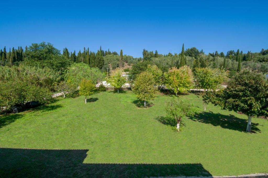 Фото Marina Studios