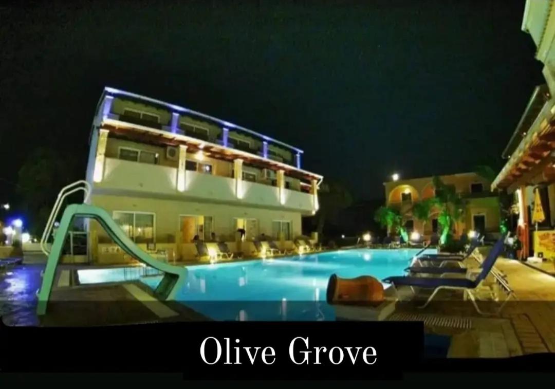 Фото Olive Grove Hotel