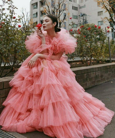 Tailor Ramonda, Dubai, photo