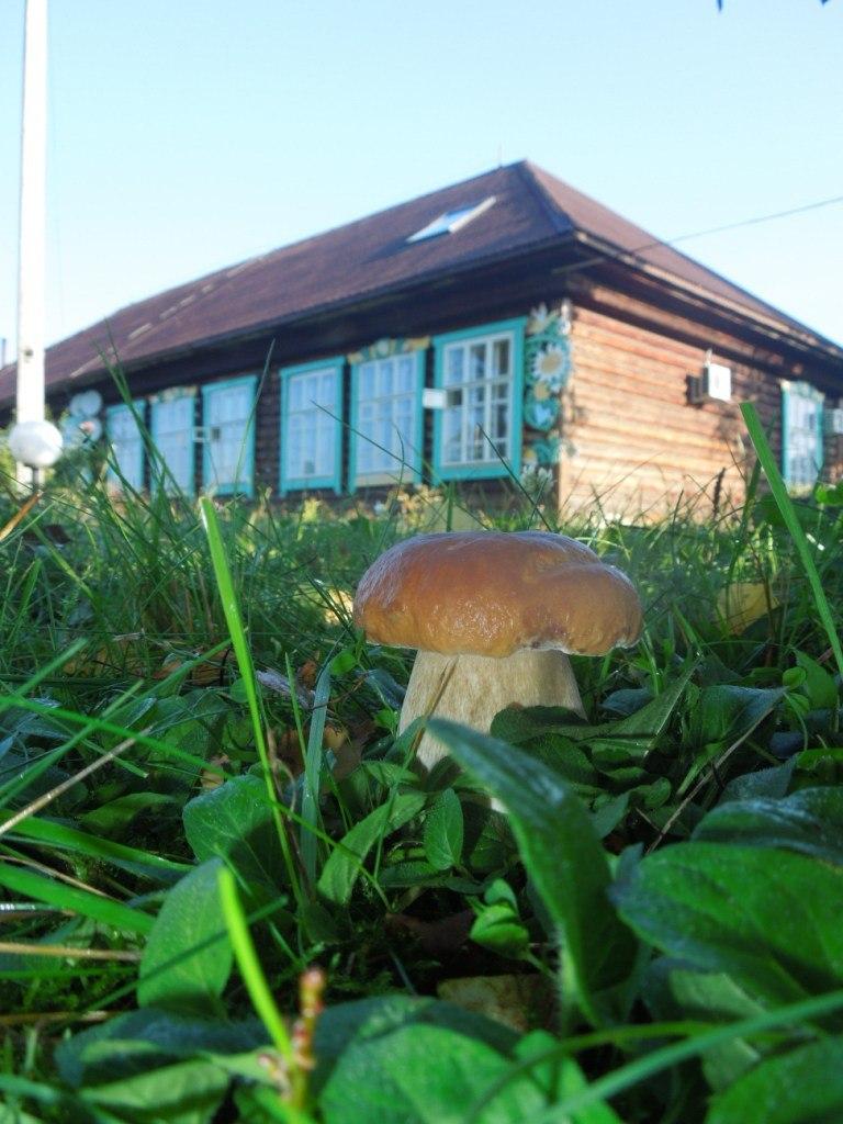 Фото Раздолье