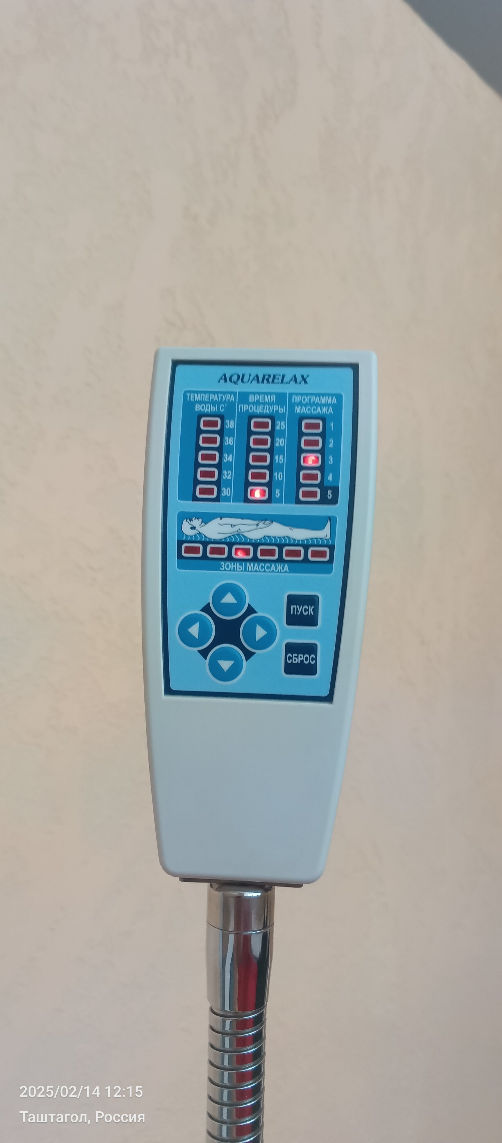 Фото Ромашка