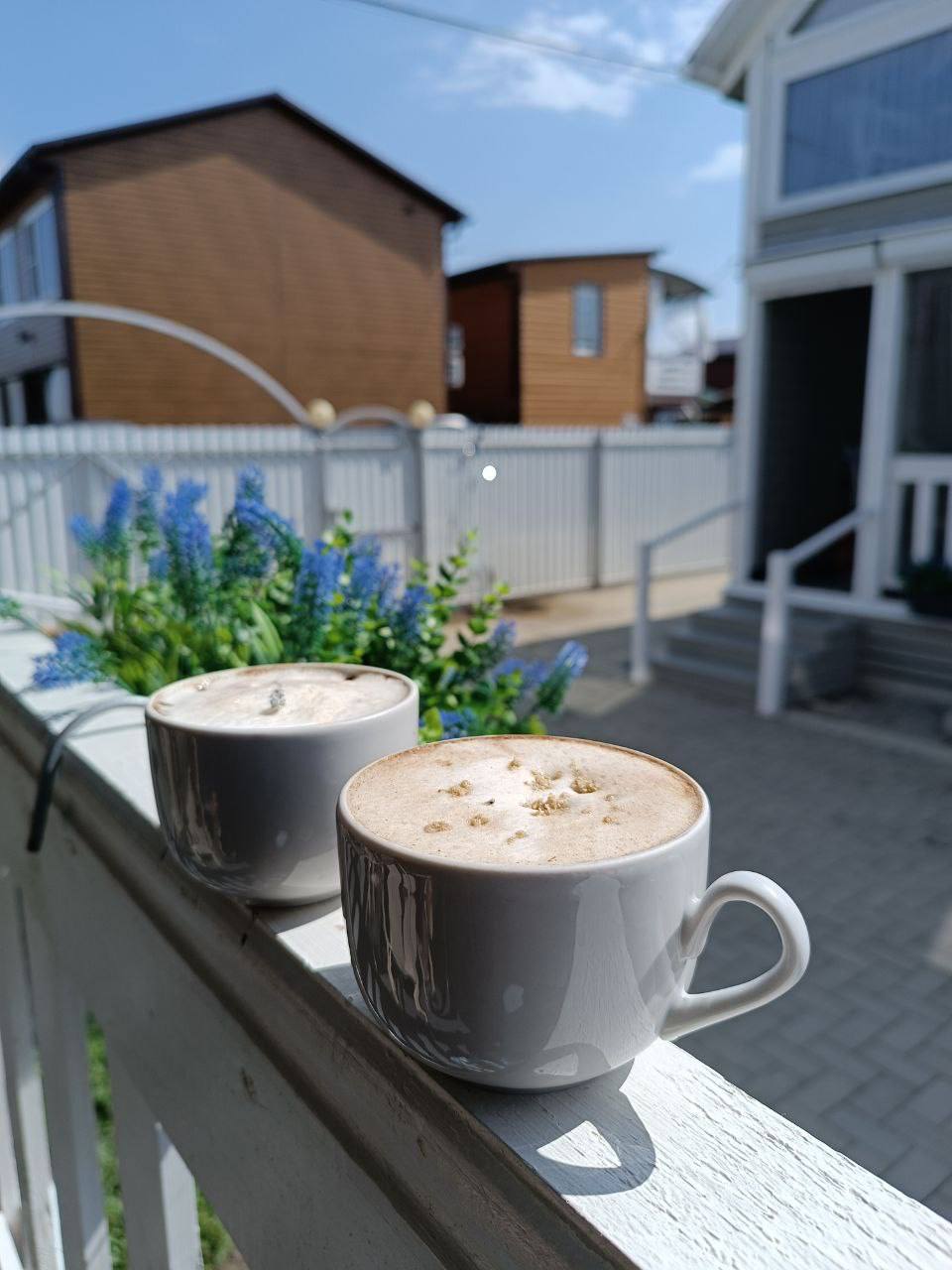 Фото Азовская чайка