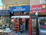 My Sea Tobacco Shop (Antalya, Konyaalti District, Arapsuyu Neighborhood, 603rd Street, 14) ، محل بقالة