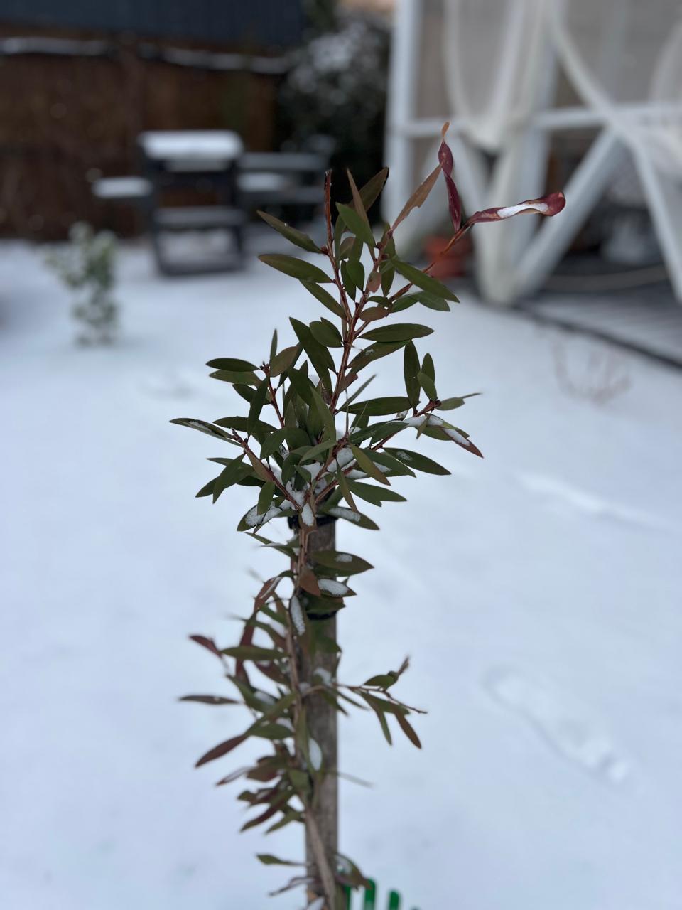 Фото ТеремДом