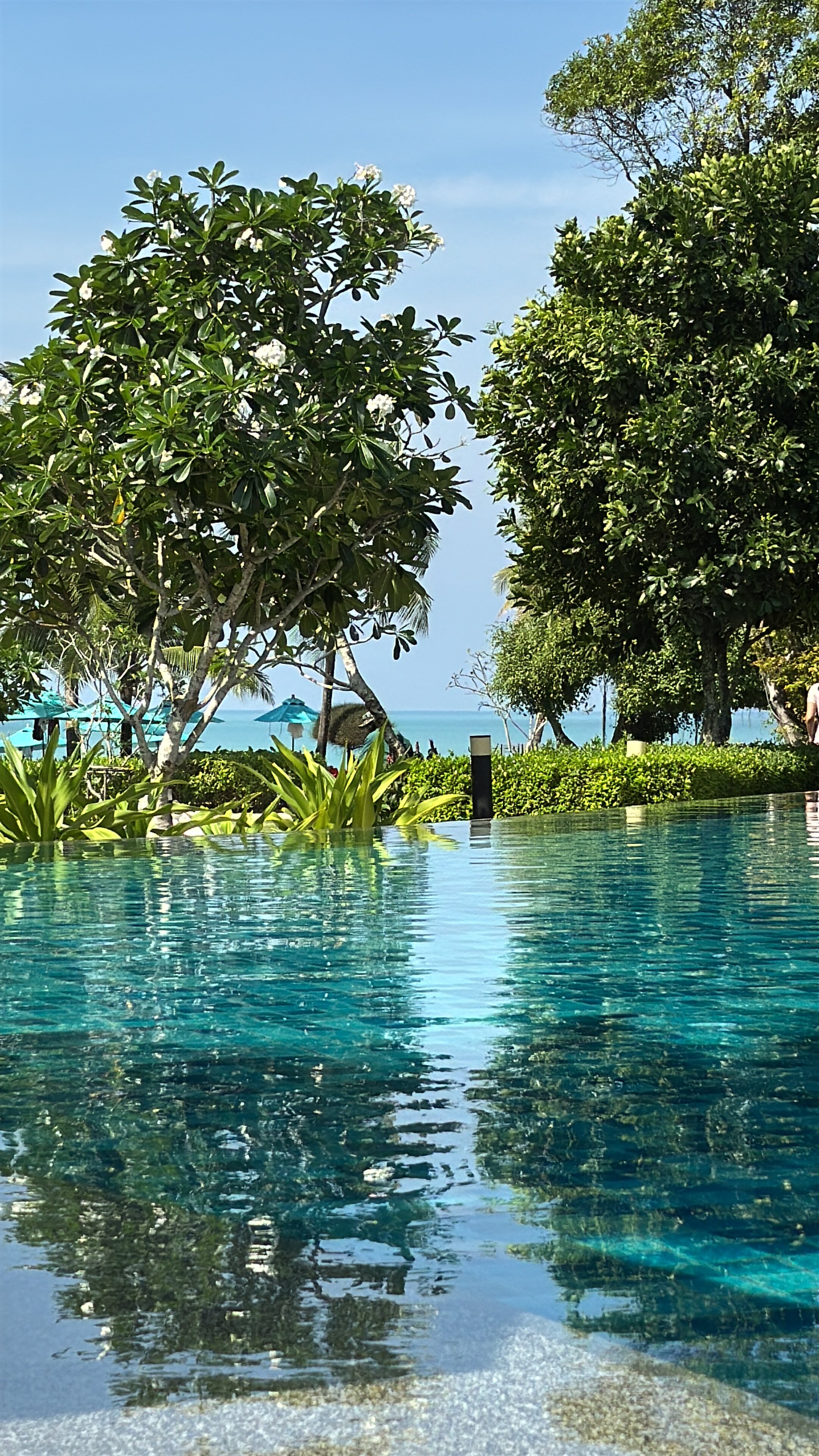 Фото Le Meridien Khao Lak Resort & SPA