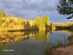 Kibray's Clear Ponds (Tashkent Region, Kibray District), fisheries, fish farming