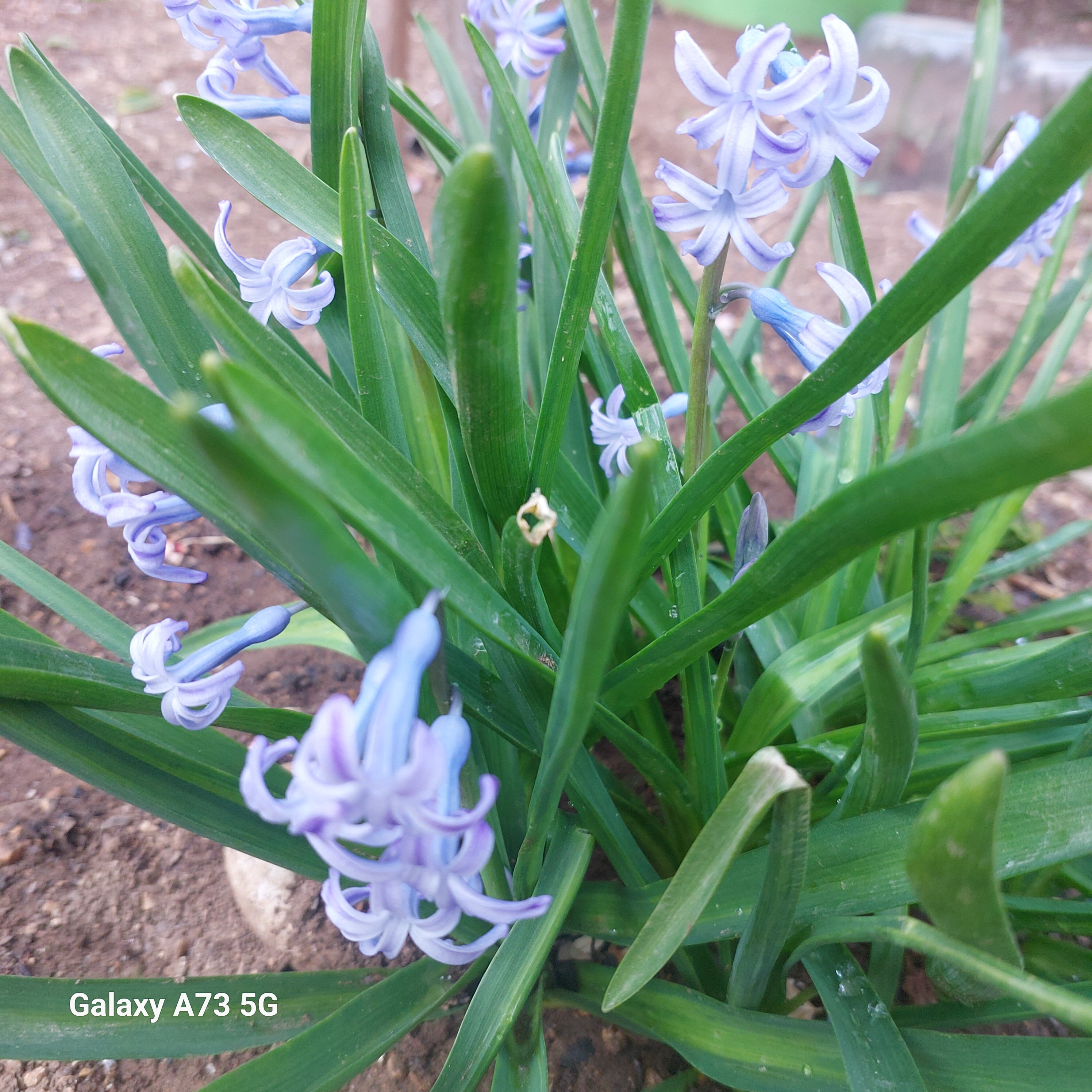 Фото Солнечный бриз