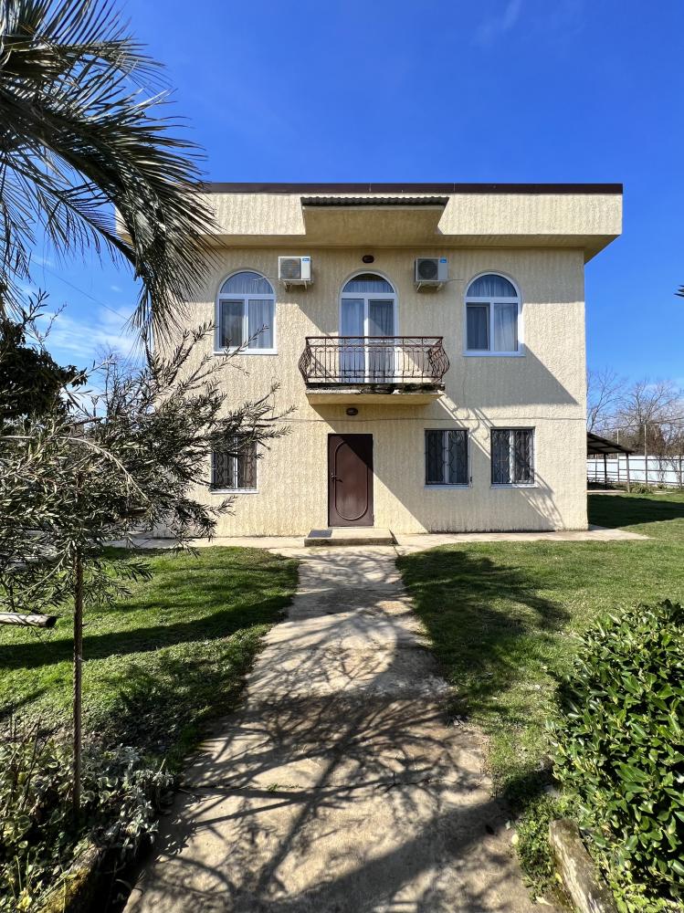 Фото Эвкалипт