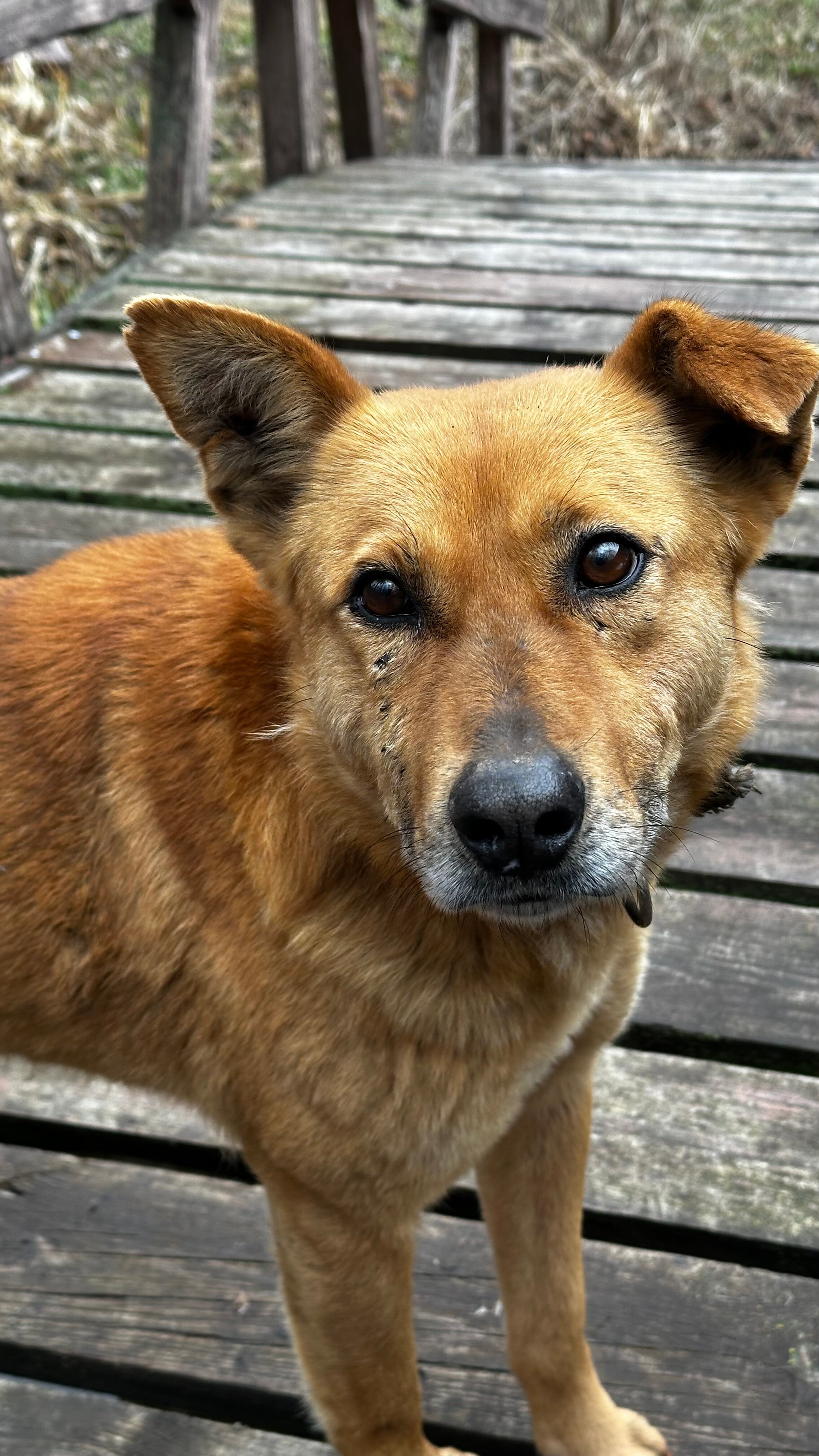 Фото Хутор Калина Красная