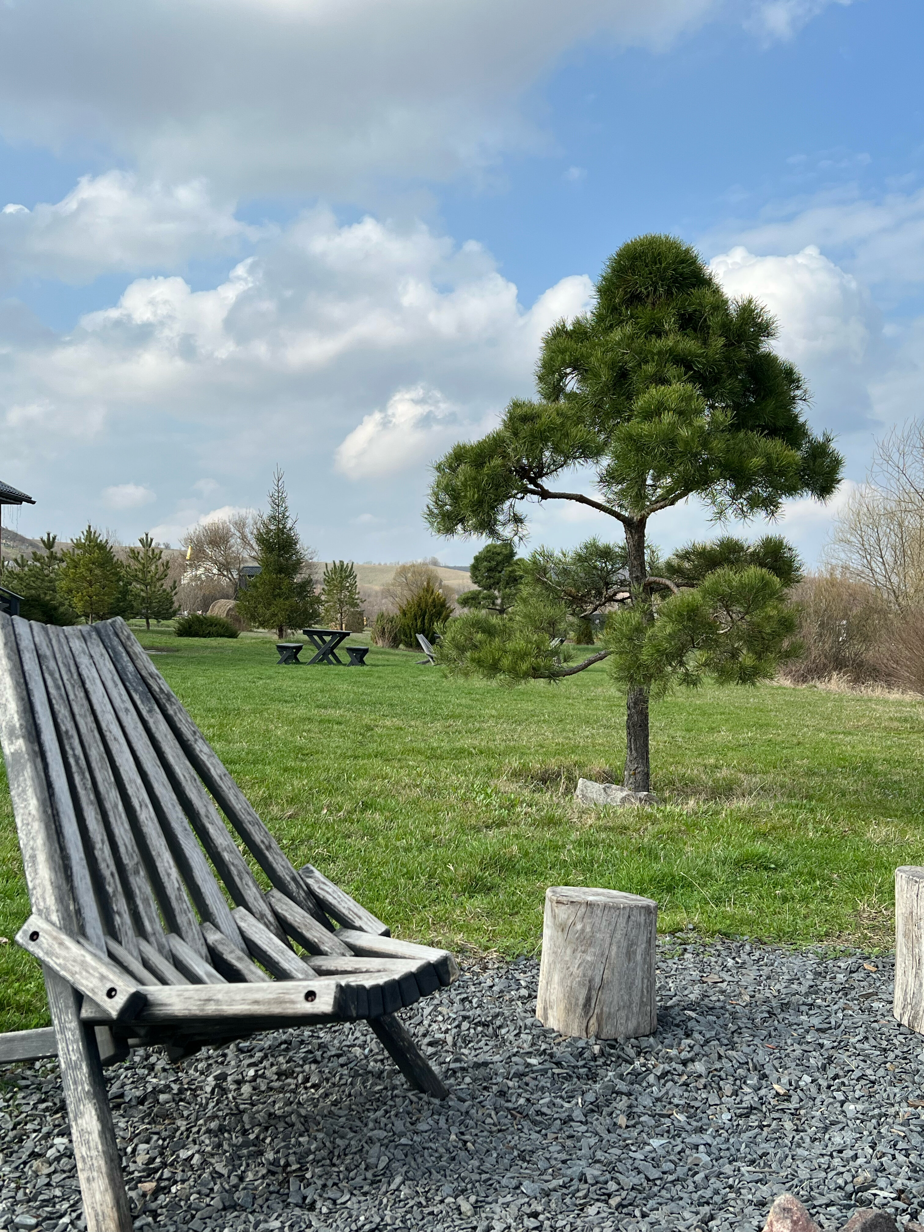 Фото Холки camp