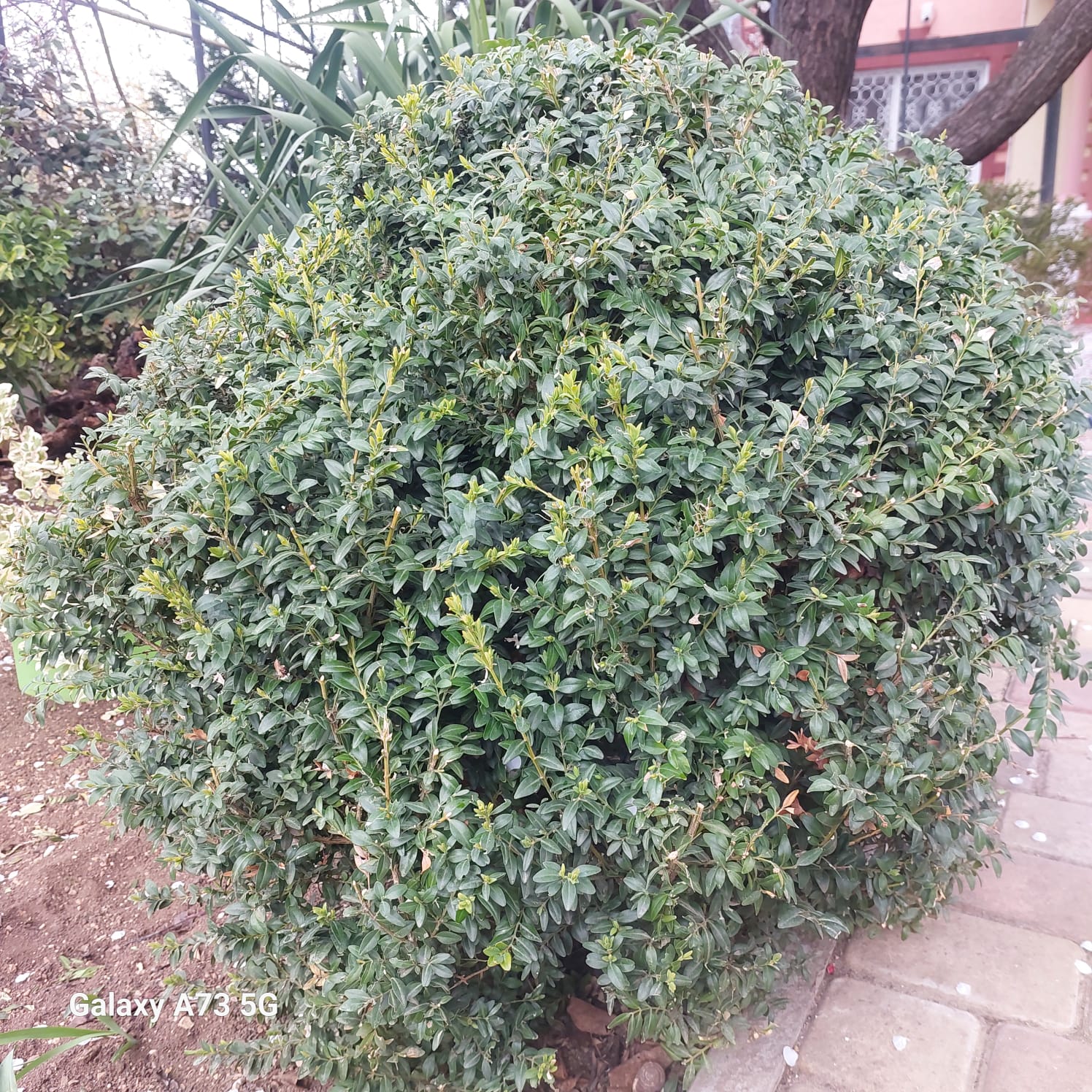 Фото Солнечный бриз