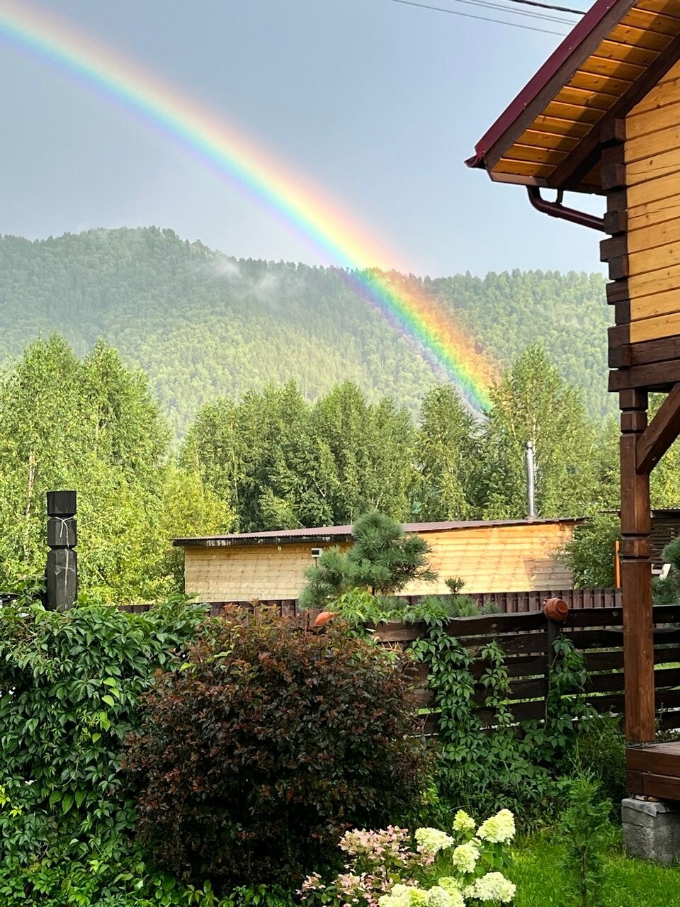 Фото Ливадия