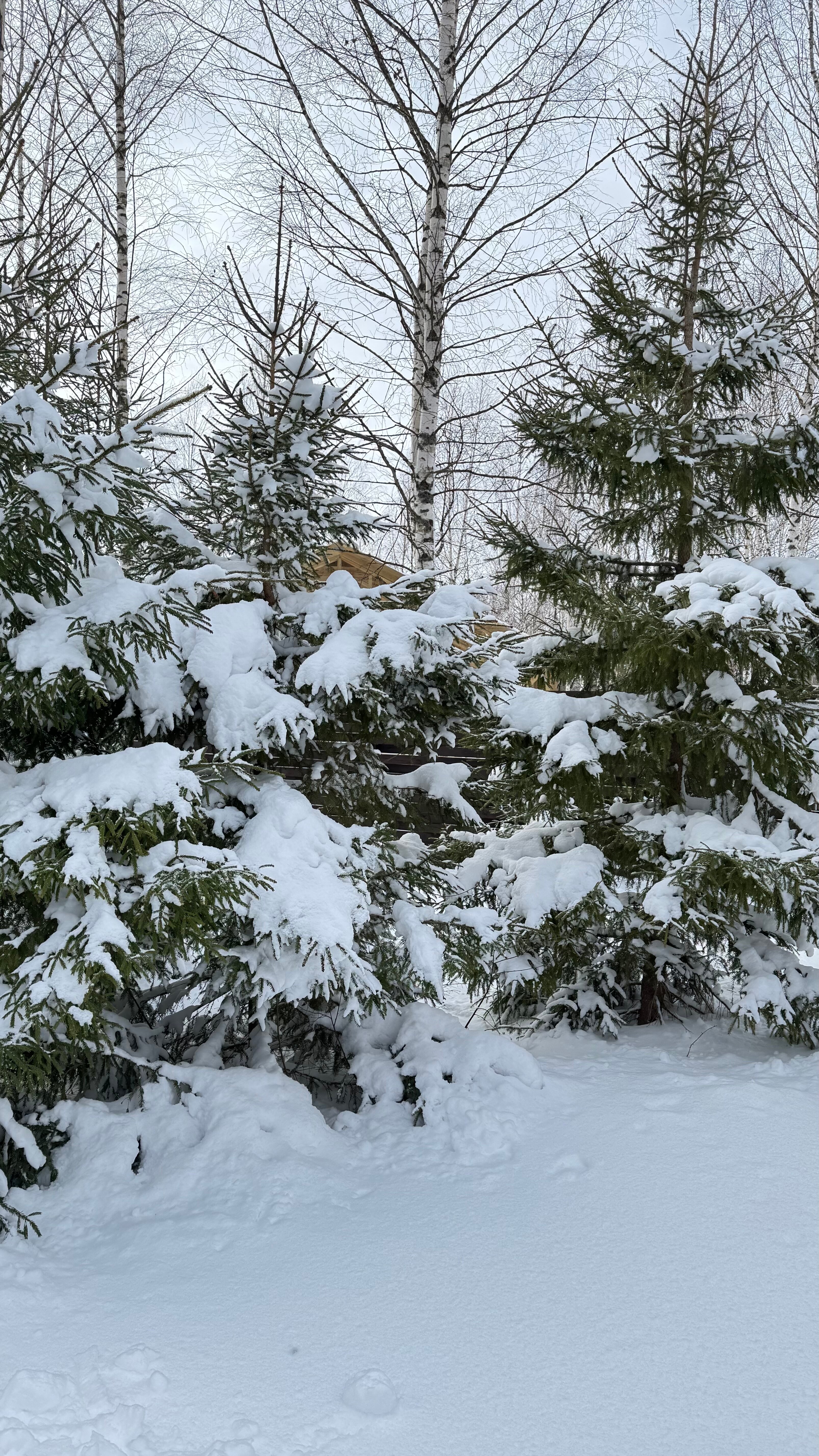 Фото Веденье