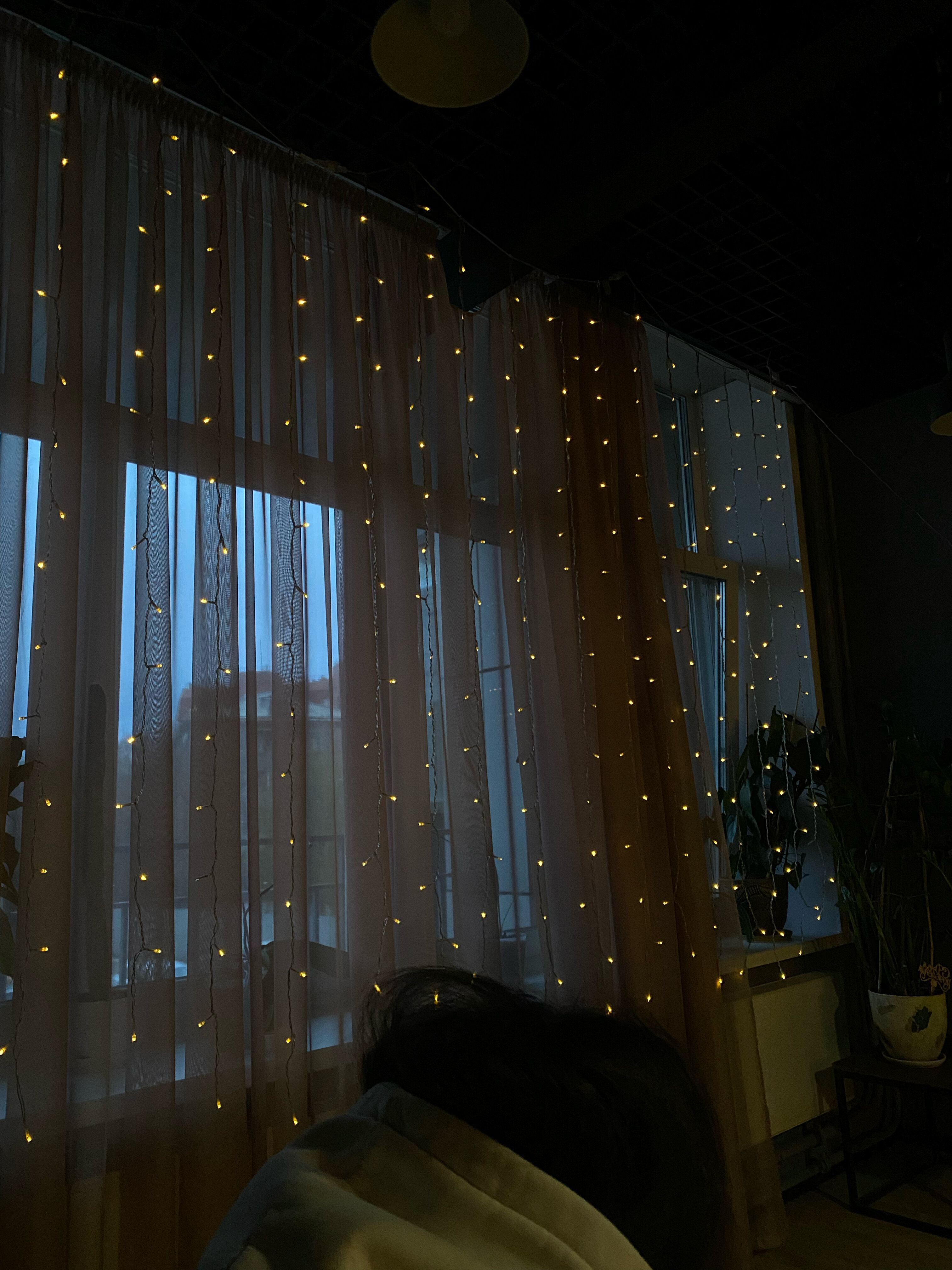 Фото Телеграфъ