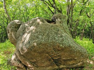Камень Голова медведя (Primorye Territory, Khorolskiy munitsipalny okrug), landmark, attraction