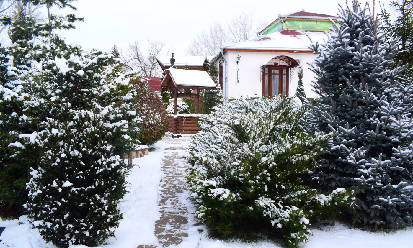 Фото Казачья пристань