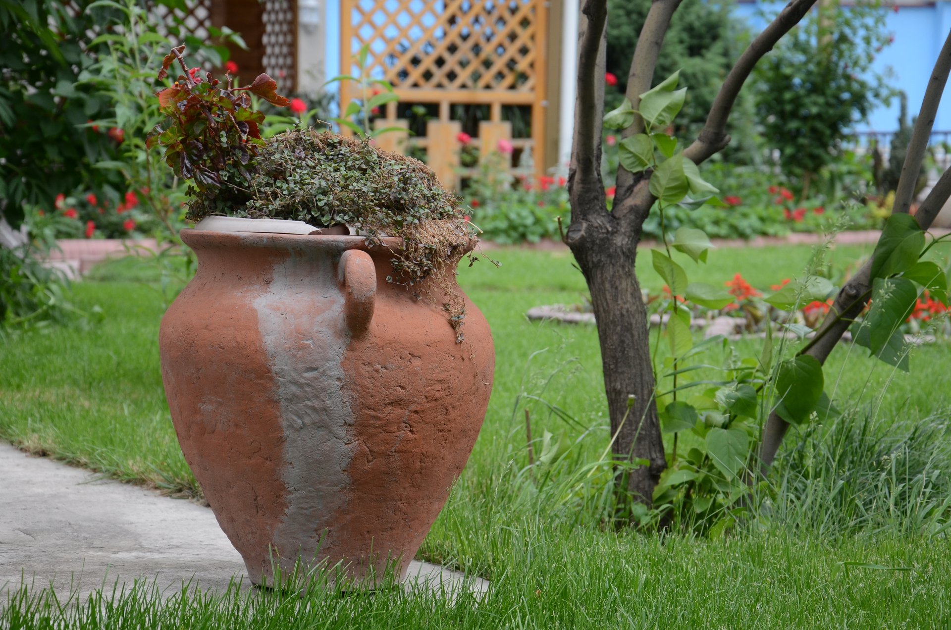 Фото Горы Азии