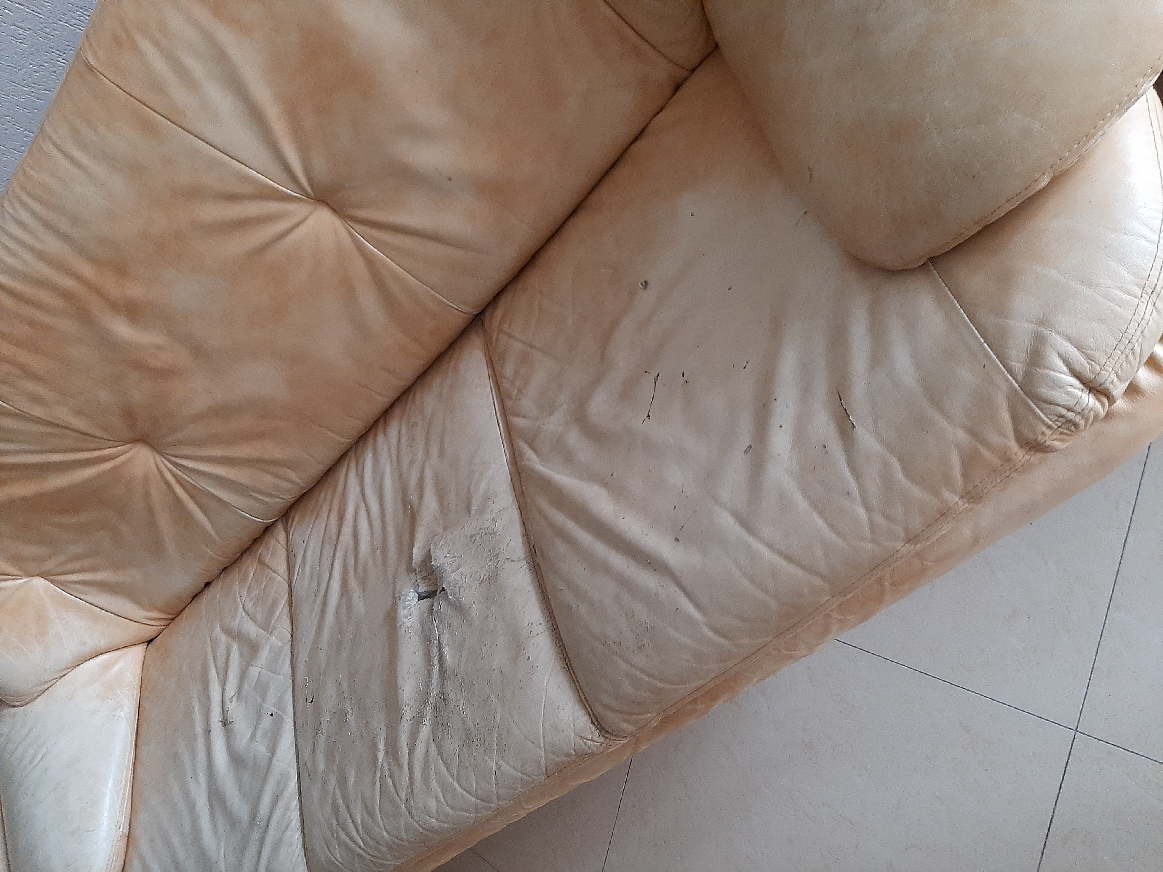 Фото Невские звезды