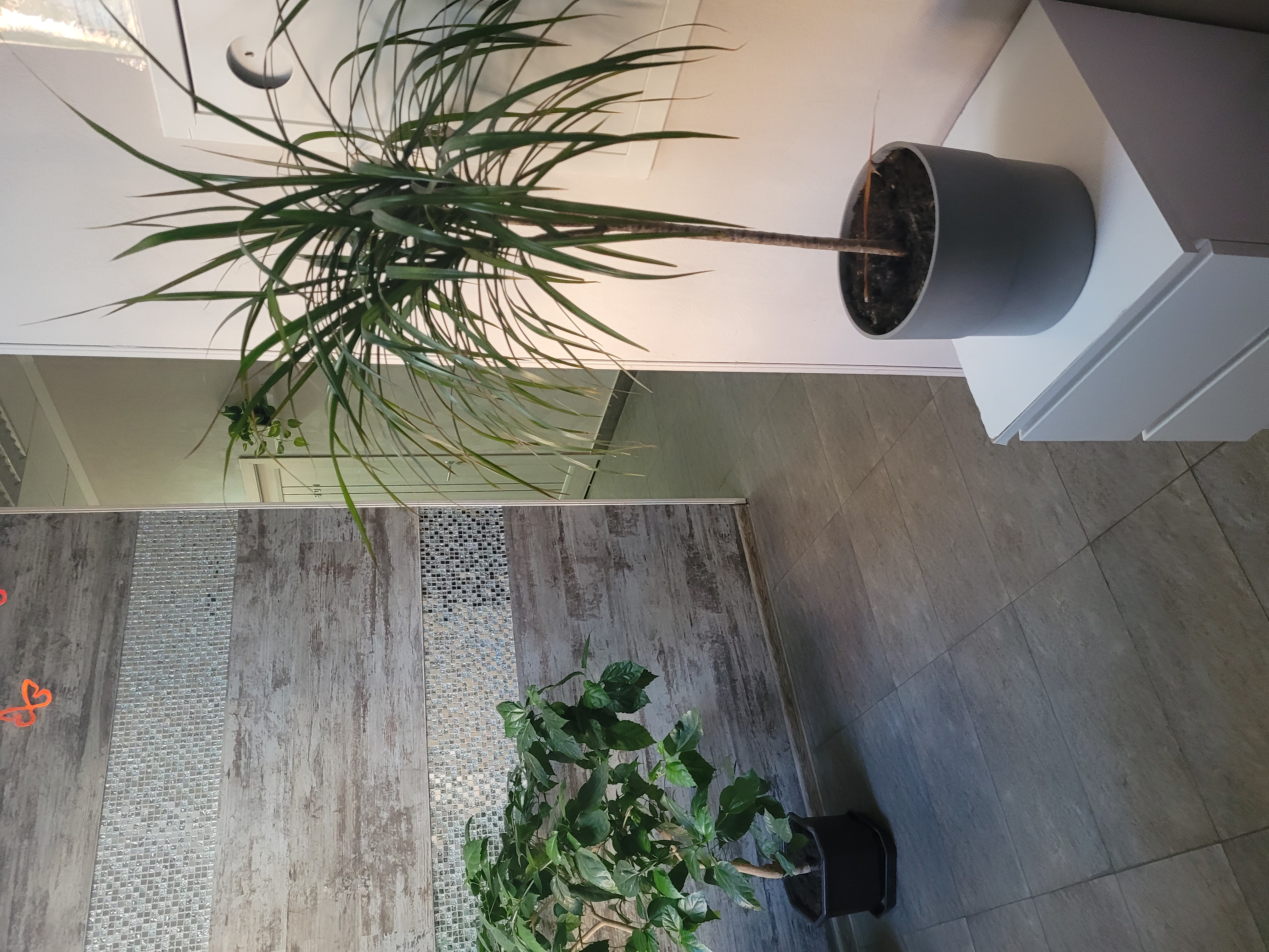 Фото StayWay на Белорусской