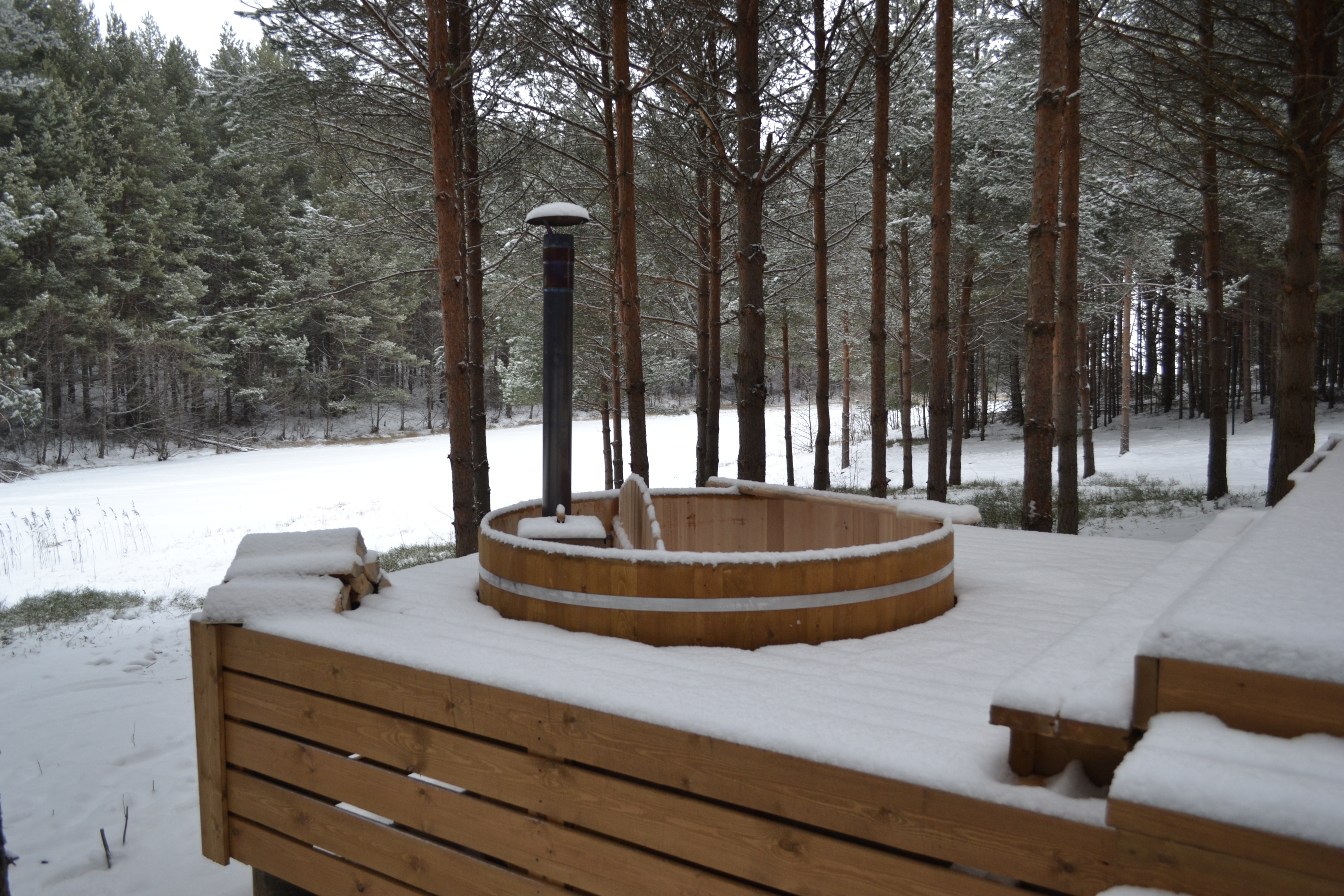 Фото КэмпФалькон