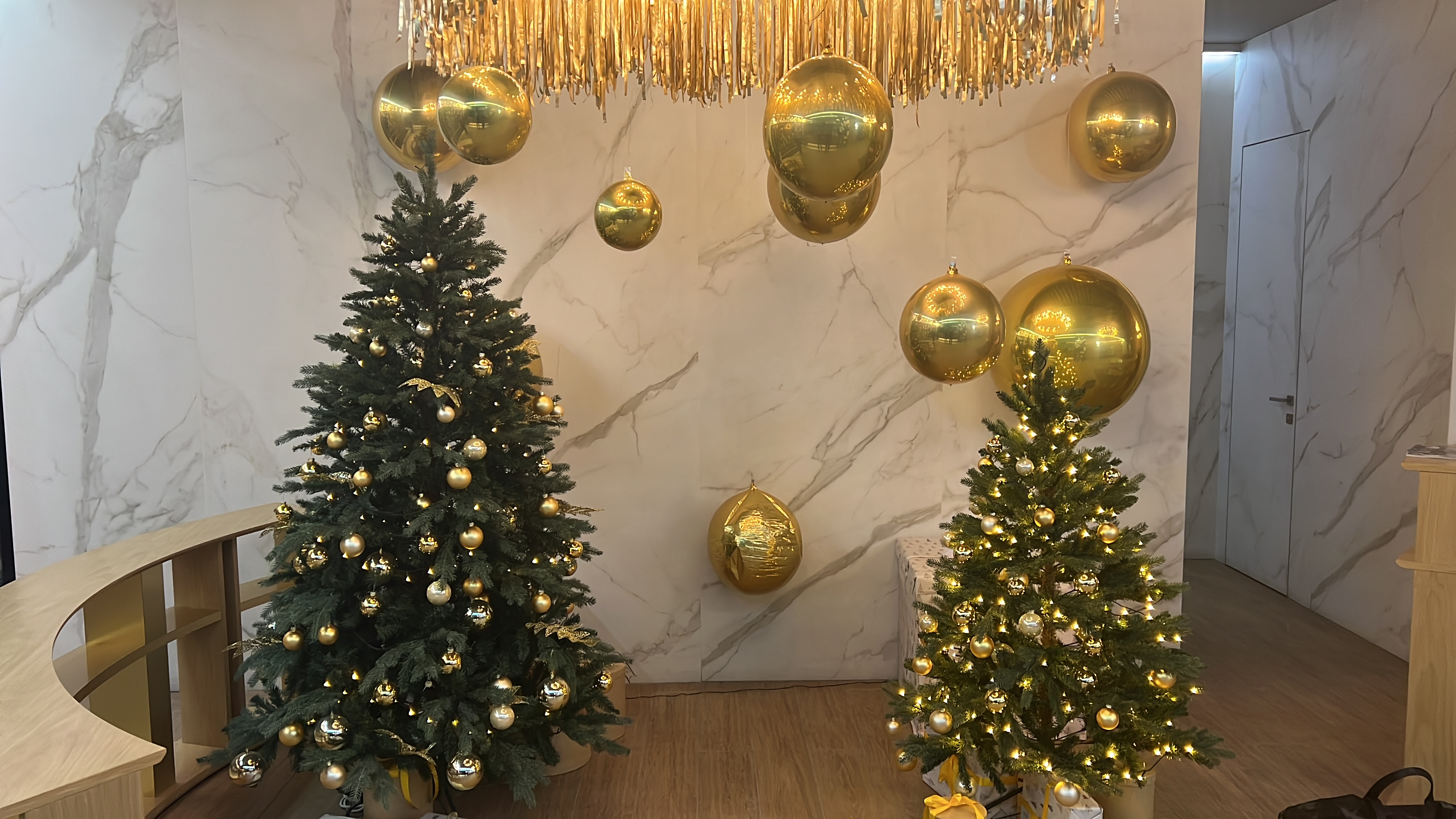 Фото Белый Клевер