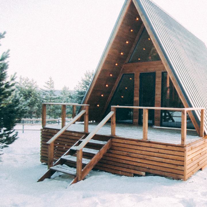 Фото Ёлки Кэмп