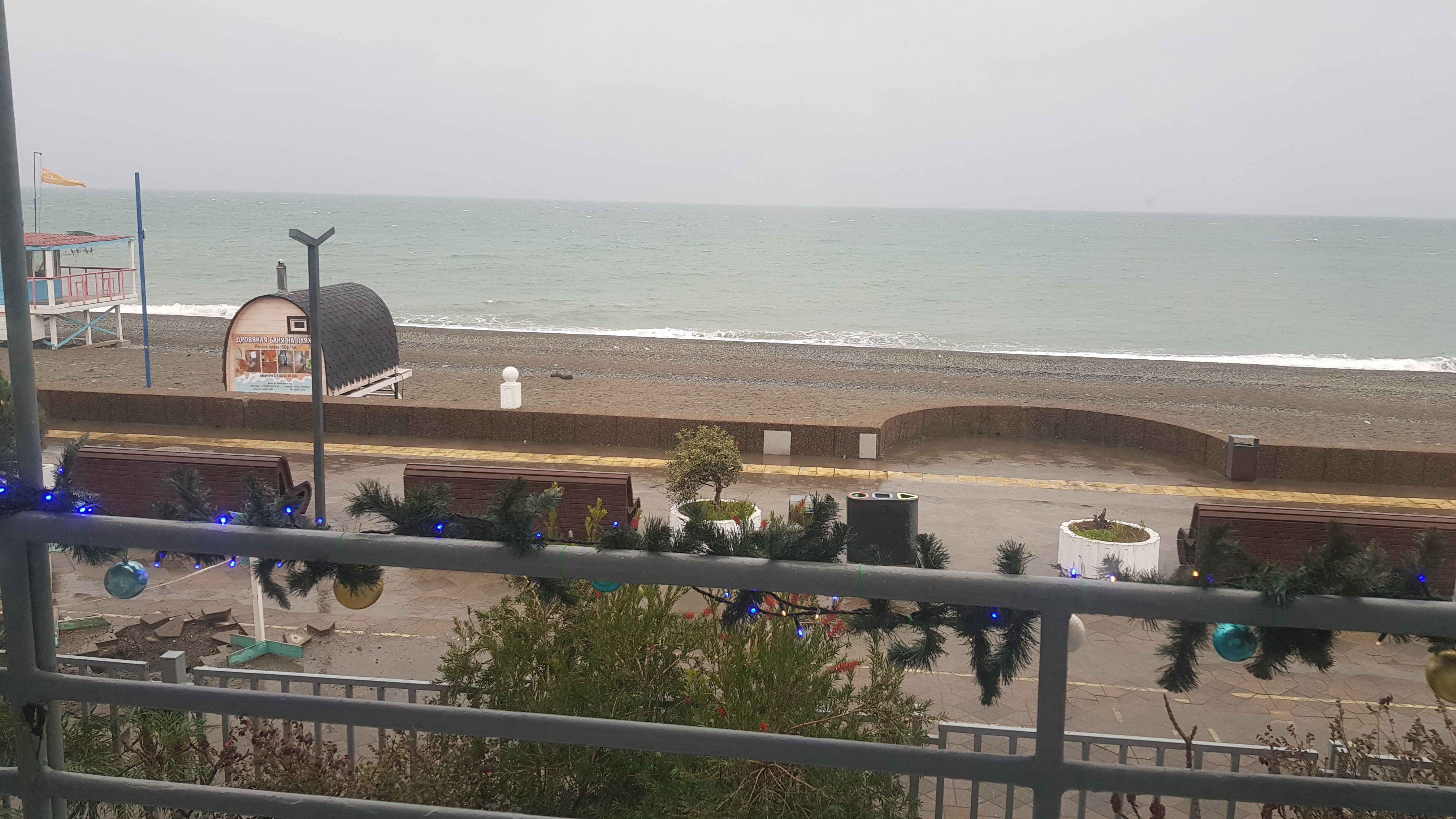 Фото Золотой огонек