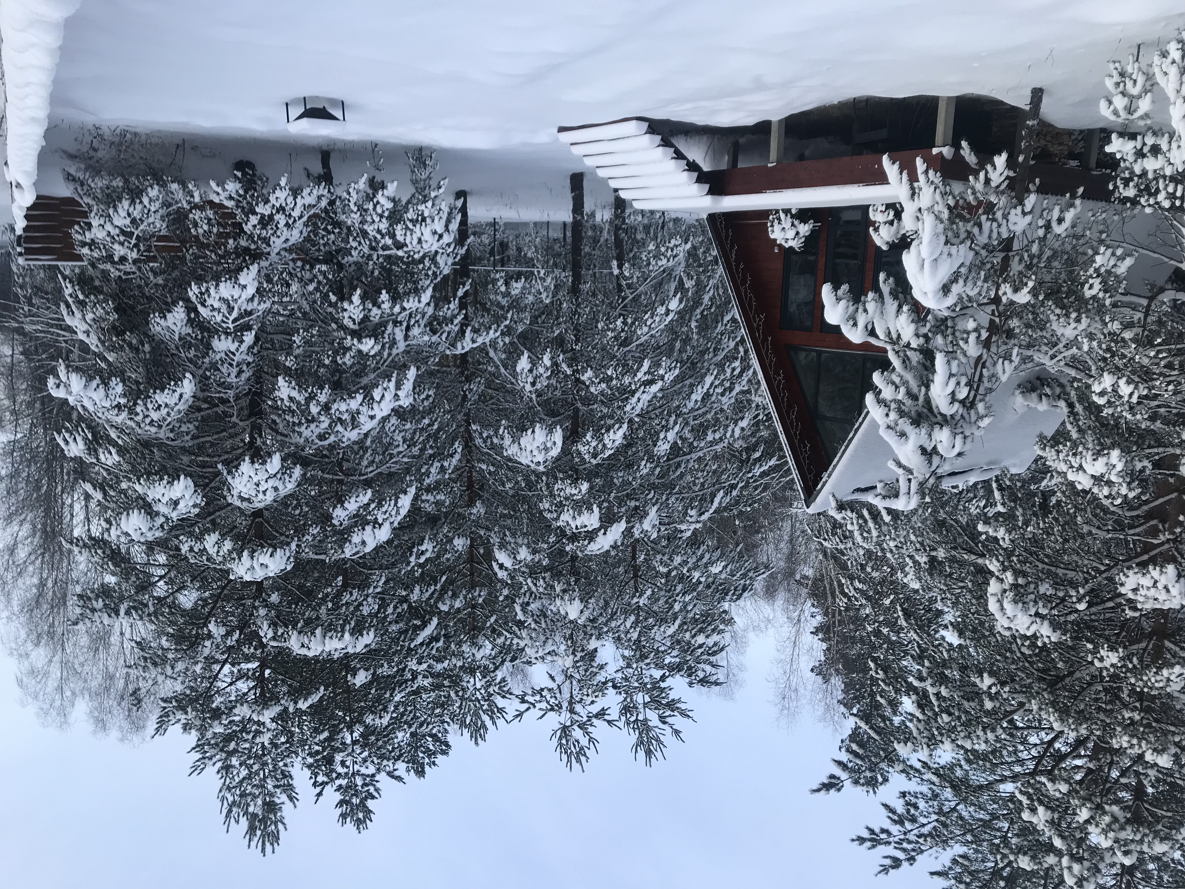 Фото Чик-чирик